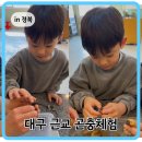 태풍이네 | 대구 근교 아이 체험 '한국곤충아카데미 태풍' 솔직후기