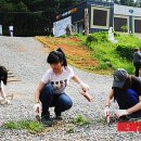 미화환경(주)