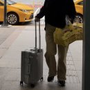 돈몬딱 | 내돈내산 리드볼트 캐리어 2년 후기 20인치 | 단점, 쿼디 몬딱 오딧 차이