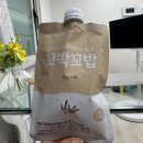 [일상] 11월 2주차 주간일기 (11/11~11/17)ㅣ서여의도 점심추천ㅣ홍지로스ㅣ영중 1박2일 가을 야유회