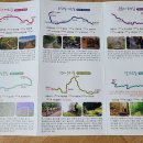 다압초등학교 | 백운산둘레길 3구간 걷기