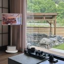 구공스테이 사색 | 천안 감성숙소 추천, 야외 자쿠지 노천탕을 즐길 수 있는 료칸 독채 숙소 | 구공스테이 사색