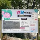 고삼지 | 안성 고삼지 연못 낚시터 캠핑장 방문 후기