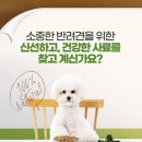 에코사료 이미지