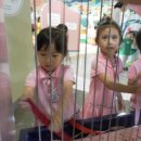 원암어린이집 이미지