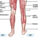 퍼펙트짐#2 네이버블로그