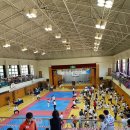 세계로새암태권도 이미지