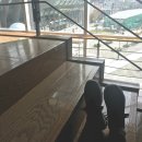 코미디 빅리그 334회 방청 후기