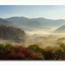 꿈의 정원 이미지