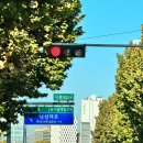서울대 캠퍼스 투어 후기 (ft. 서울대 지도, 버들골 나들이, 단풍)
