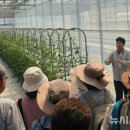 [용인 모집안내]도시농업교육생, 어학자격응시료지원, 배려캠페인, 드림스타트 이미지