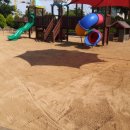 신녕초등학교병설유치원 이미지