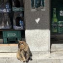 [24-3 부산 뚜벅이 2박3일 일정 공유] - 2일차: 나뭇잎마을, 밤산책방, 에쏘, 서울상회 (광안리 회 센터...