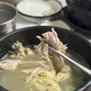 백송삼계탕 네이버블로그