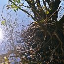 내수면환경생태공원주차장 이미지