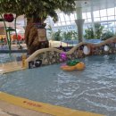 수풀내어린이공원 | 제주 신화월드 스카이풀 &amp; 실내워터파크 이용후기(신화관 투숙시 무료혜택 이용후기)