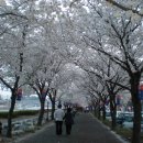 덕과면 덕동마을 이미지