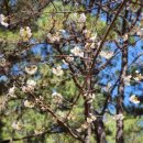 백양산 바람고개 이미지