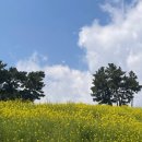 상예동-13 이미지