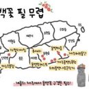 제주도 관광지 제주 동백수목원 제주도 동백꽃 서귀포 여행 이미지