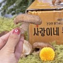 사랑이네반찬 이미지