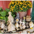 시루봉가든 이미지