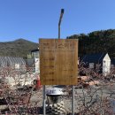 코이스테이 이미지