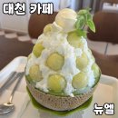 대천 | 보령 대천카페 [뉴엘] 내돈내산 후기 🍈 | 대천해수욕장 멜론빙수 맛집