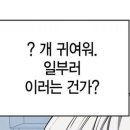 현자농장 이미지