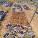 시은농장 이미지