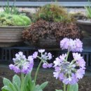 운남농장 이미지