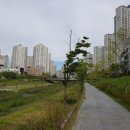 박승룡한의원 이미지