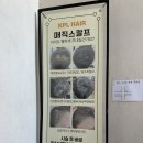 케이피엘헤어 - 순천시 신대로 119 | 케이피엘헤어