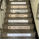 송뷰티에스테틱