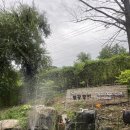 청정장어촌숯불장어 | 영월 맛집 동강 숯불 장어촌 |장어 솔직후기 , 예약하고 방문하세요!!