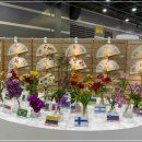 생활양재 이미지