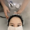 리치타워2 | [금정역] 안양두피관리 힐링스팟 리치스칼프 헤드스파 후기