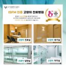 브이케어동물병원 이미지
