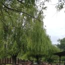 늘솔길근린공원 이미지