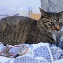 뭘봐PC방 이미지