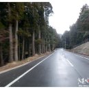 신사운전길 티스토리