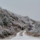 죽령 | 소백산 죽령 코스, 눈꽃 가득한 겨울 산행기