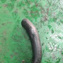 일광자동차정비 이미지