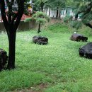 사월동 지석묘군 이미지