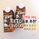 리치로 | 프로틴 음료 추천, "단백질 30g" 쿵푸팬더 프로틴 리치초코맛 후기