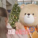 아르미 헤럴드경제