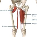 디오필라앤핏 오목교점 이미지