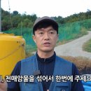 액비골(1) 이미지