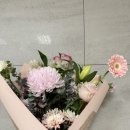 속초중앙의원 | 임신기록 28주차 - 입체 초음파 👼🏻 고성 여행