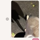 레벨업PC 대치점 이미지